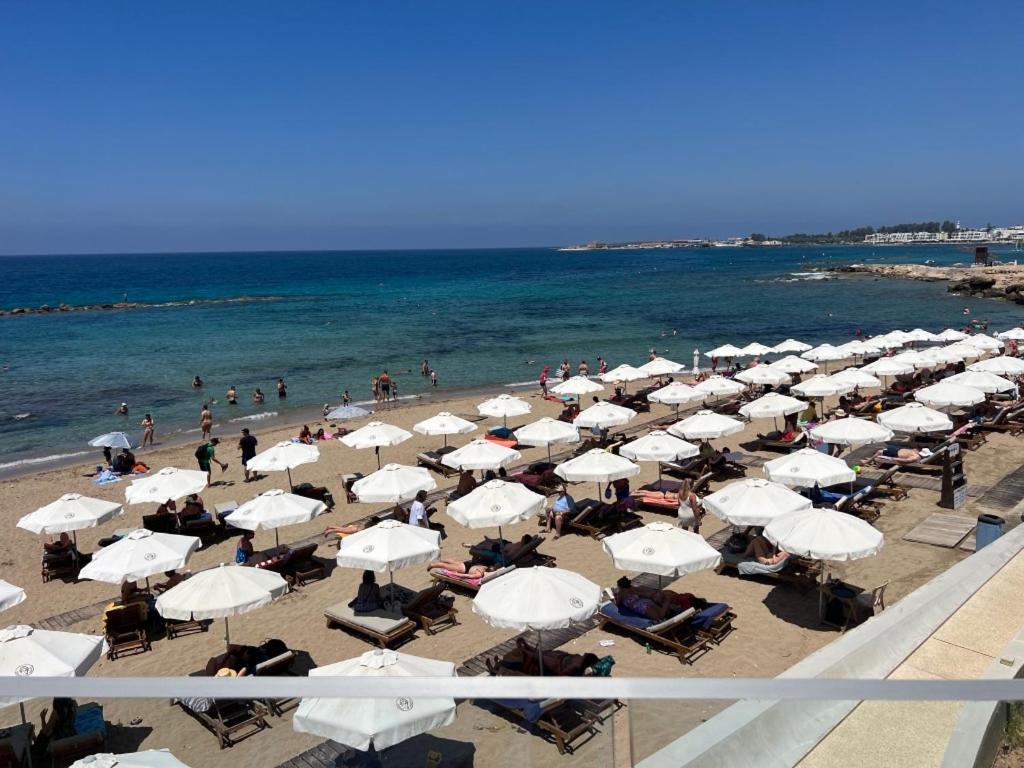 Modern 2Br Apartment With Pool, Veranda & Garden In Paphos Buitenkant foto